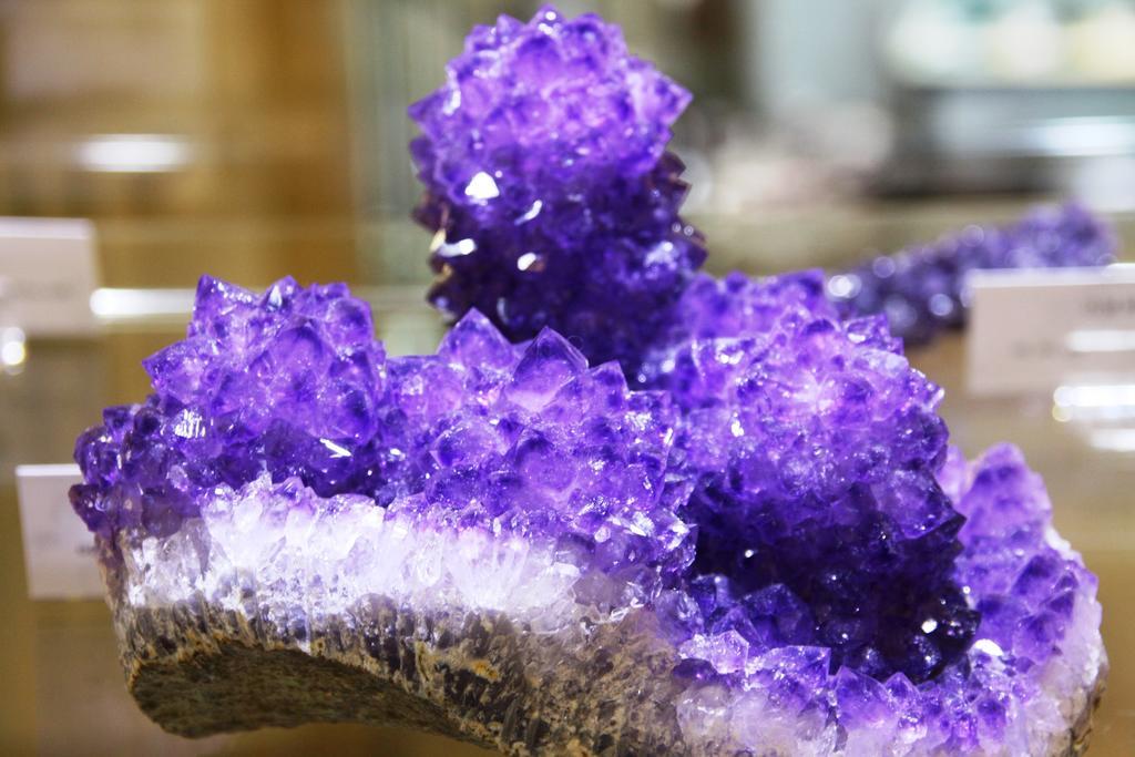 Fewo Purper Frauenberg ภายนอก รูปภาพ